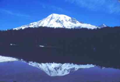 Rainier reflection