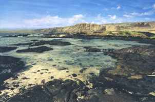 Tidal pools