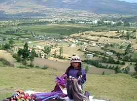 Countryside vendor