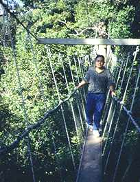 Canopy Walkway