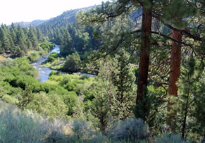 UnNamed River, USA