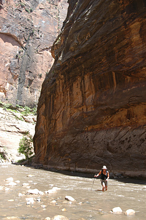 Walking upstream, Zion