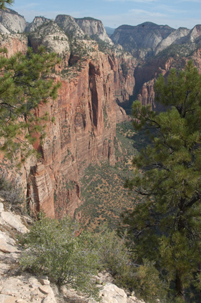 Zion Landing view