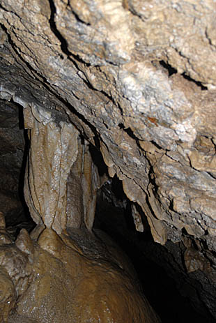 Oregon Caves formations