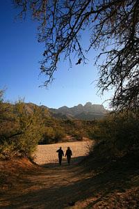 Hiking Catalina State Park