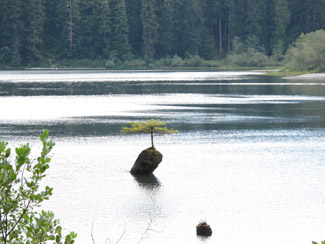 Port Renfrew