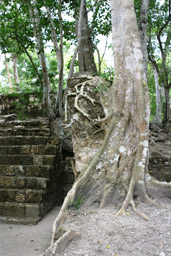 Calakmul