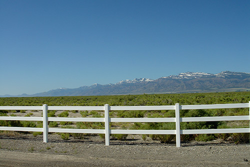 fence