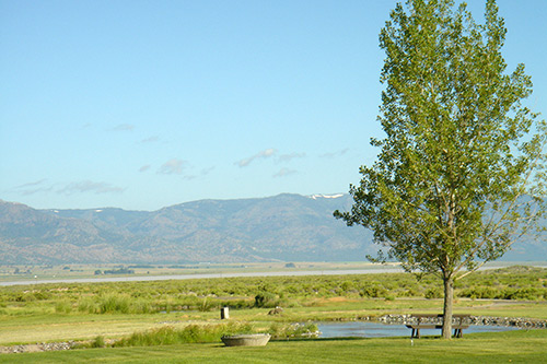 Fishing pond