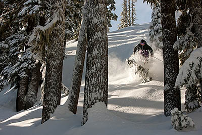 Timberline Lodge tree skiing