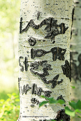 Oregon, Fish Lake, initials carved into tree