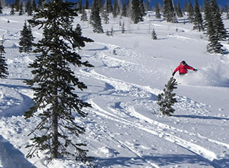 Castle Mountain skier