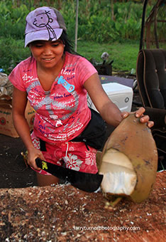 Coconut lady