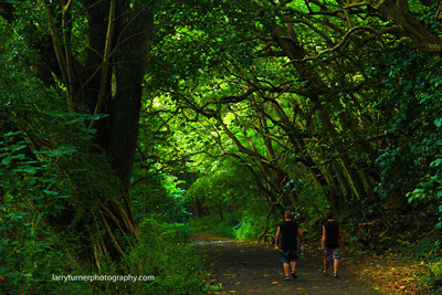 Hiking the Waipio Valley