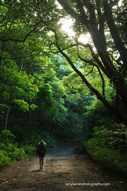 Hawaii hiking