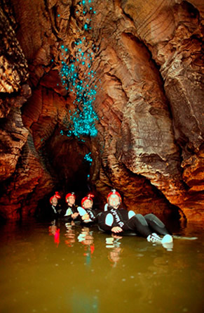 New Zealand Black Labyrinth Cave Glow Worms