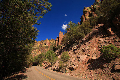 Arizona Chiracahua Nat. M. Road