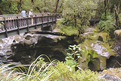 New Zealand Cleddau River bridge