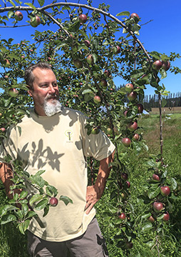 Chef Scheehser with ripening apples