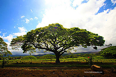 Hawaii Big Island