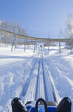 Alpine coaster rider view