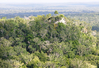 El Mirador