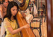 Harp player