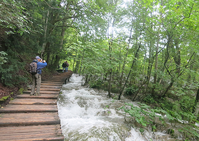 croatia-boardwalk-along-stream