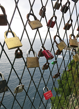 Locks on fence