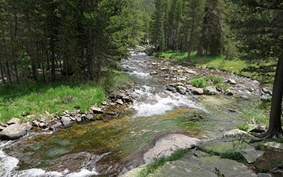 Tuolumne River bubbles through Lyell Canyon