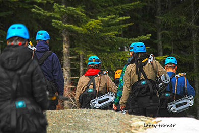 Whistler zipline