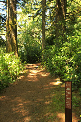 Eel Lake Trail