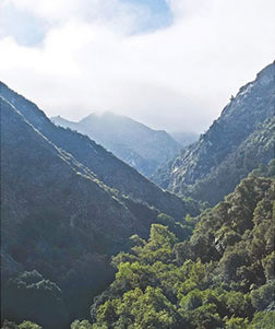 Tassajara Zen Mountain Center