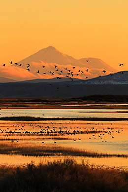 Klamath, Mt. Shasta