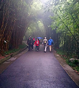 Panda tourists walking