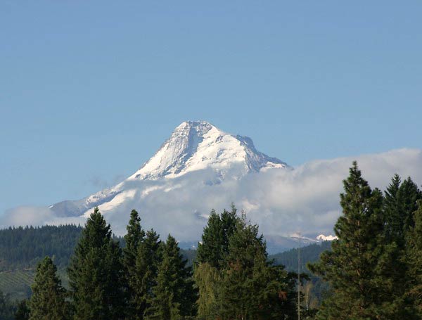 Mt. Hood