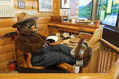 Smokey the Bear fact-checking the story