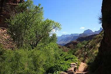 Grand Canyon Bright Angel Trail Indian Garden view