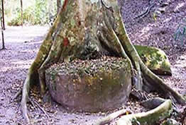 Guatemala Tikal Complex R encapsulated altar