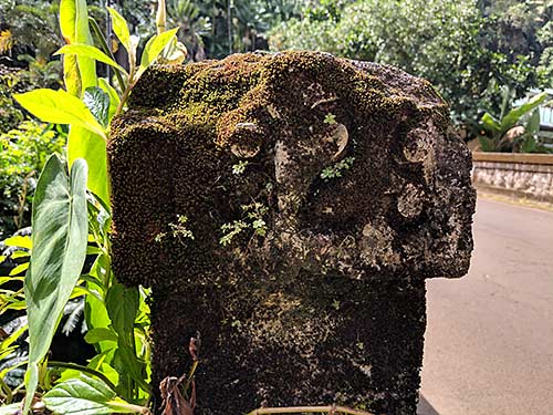 Crumbling bridge on the Old Mamalahoa Highway