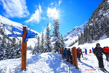 Whistler-Blackcomb bowl