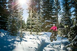 Fat tire biking in the snow