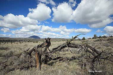 Oregon lava beds camp view