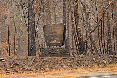 Destructive western fires