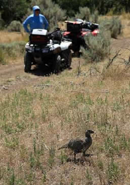 Northern Nevada outdoor recreation