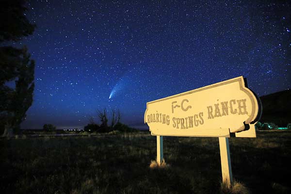 Neowise Comet