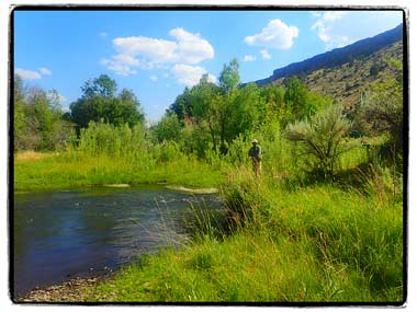 Oregon-Steens-Mt Wilderness