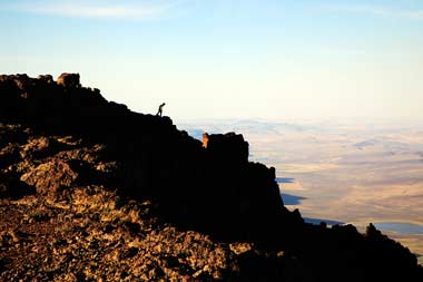 Oregon-Steens-Mt Wilderness