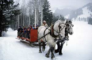 Sleigh ride at Jackson Hole