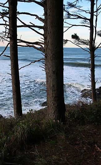 Oregon coast